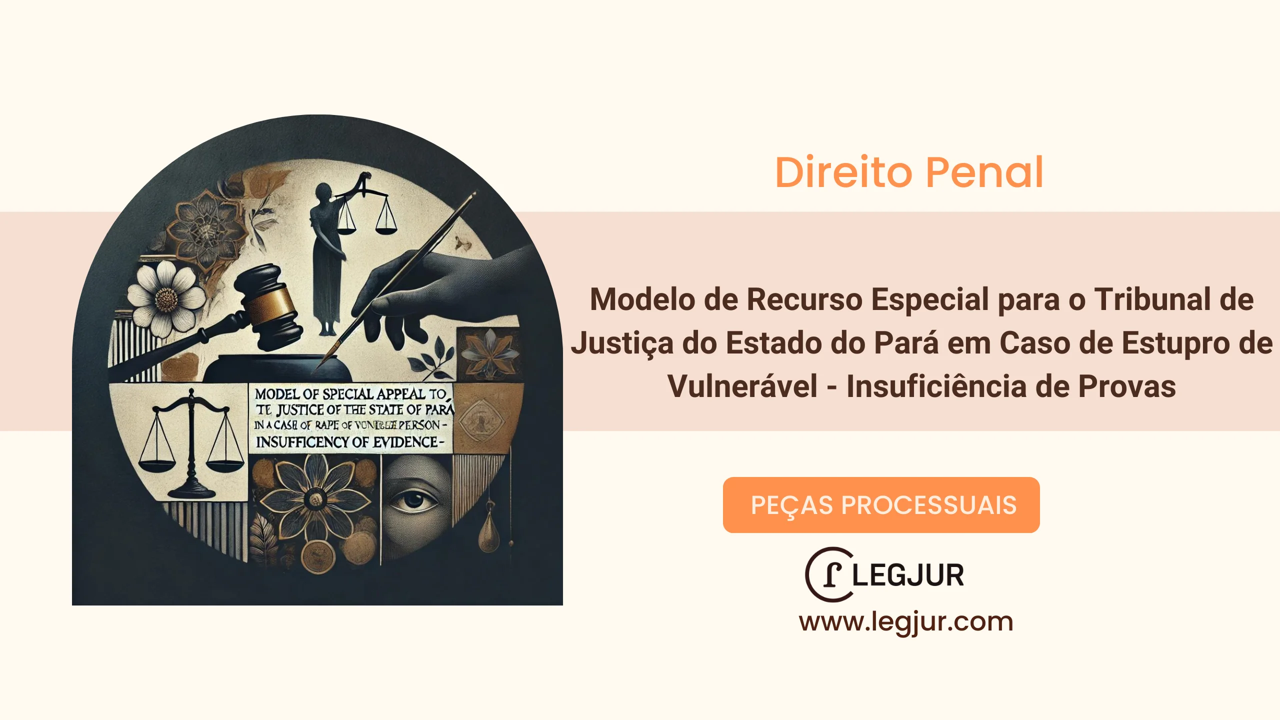 Modelo de Recurso Especial para o Tribunal de Justiça do Estado do Pará em Caso de Estupro de Vulnerável - Insuficiência de Provas